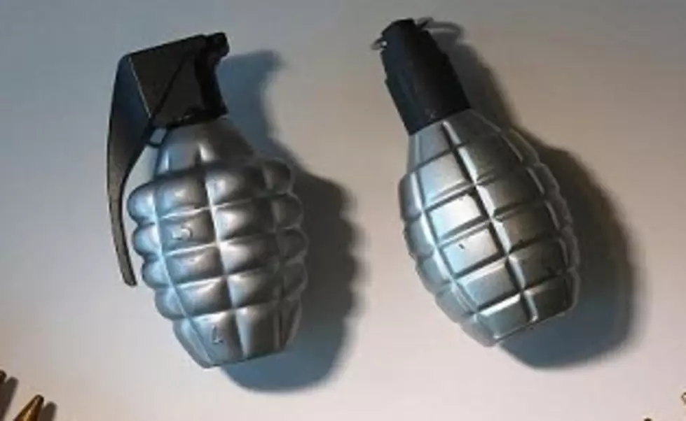Worker Finds Buried Grenade in Dutchess County