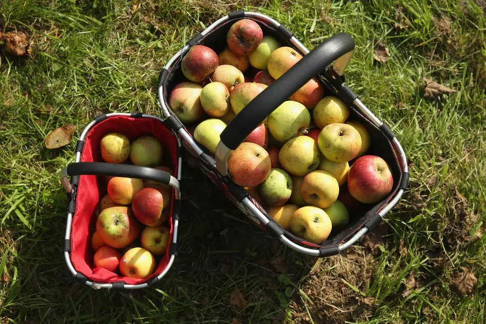 Kick Off the Hudson Valley Apple Season, and Fight Hunger
