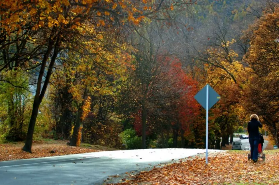 2015 Foliage in the Hudson Valley Won&#8217;t Be a Complete Washout
