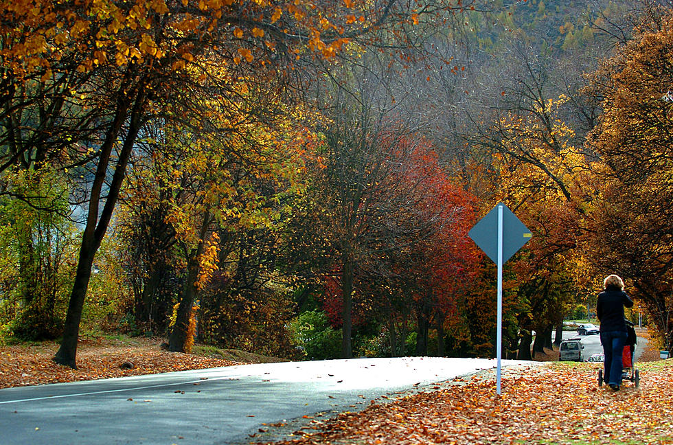 2015 Foliage in the Hudson Valley Won’t Be a Complete Washout