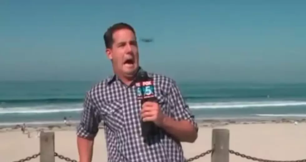 Weather Man Attacked By Bug During Live Broadcast [VIDEO]