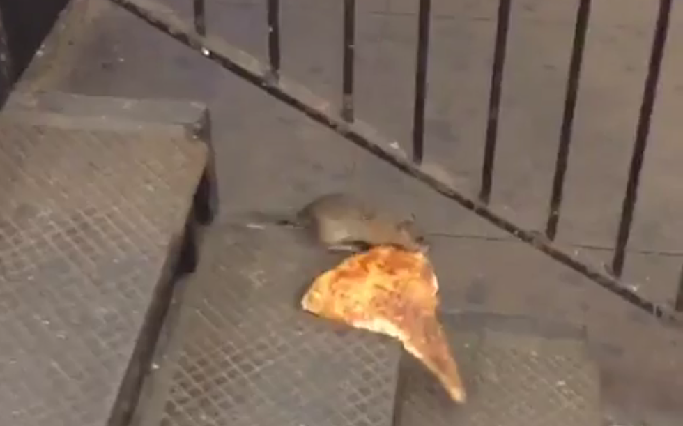Rat Runs off With Slice of Pizza in New York City [VIDEO]