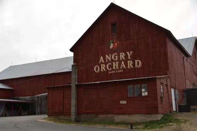 Angry Orchard to Release a Boozy Ice Cream