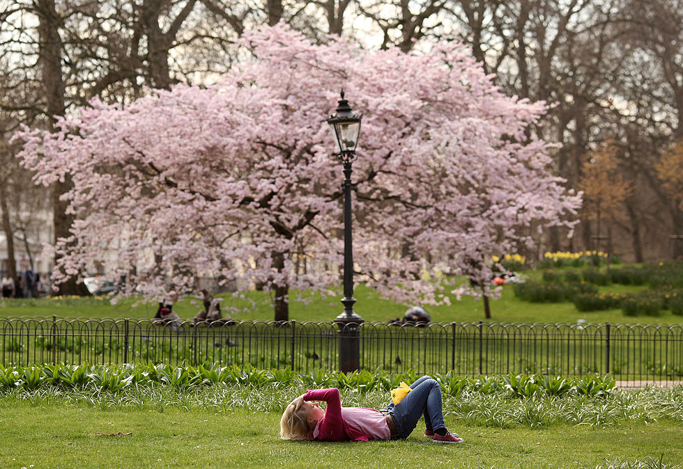 Saving the Park Where We Grew Up