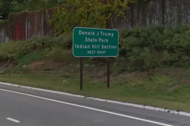 State Senator Wants Trump&#8217;s Name off Taconic Parkway Signs