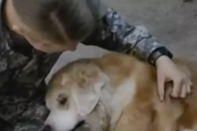Watch What Happens When Soldier and Elderly Dog are Reunited [VIDEO]