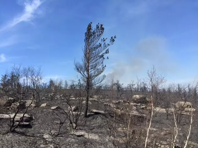 Ulster Wildfire Already Consumed 800 Acres, Gaining Intensity