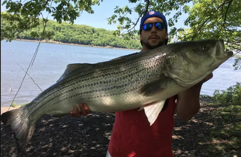 Your Biggest ‘Monster Fish’ Caught in the Hudson Valley