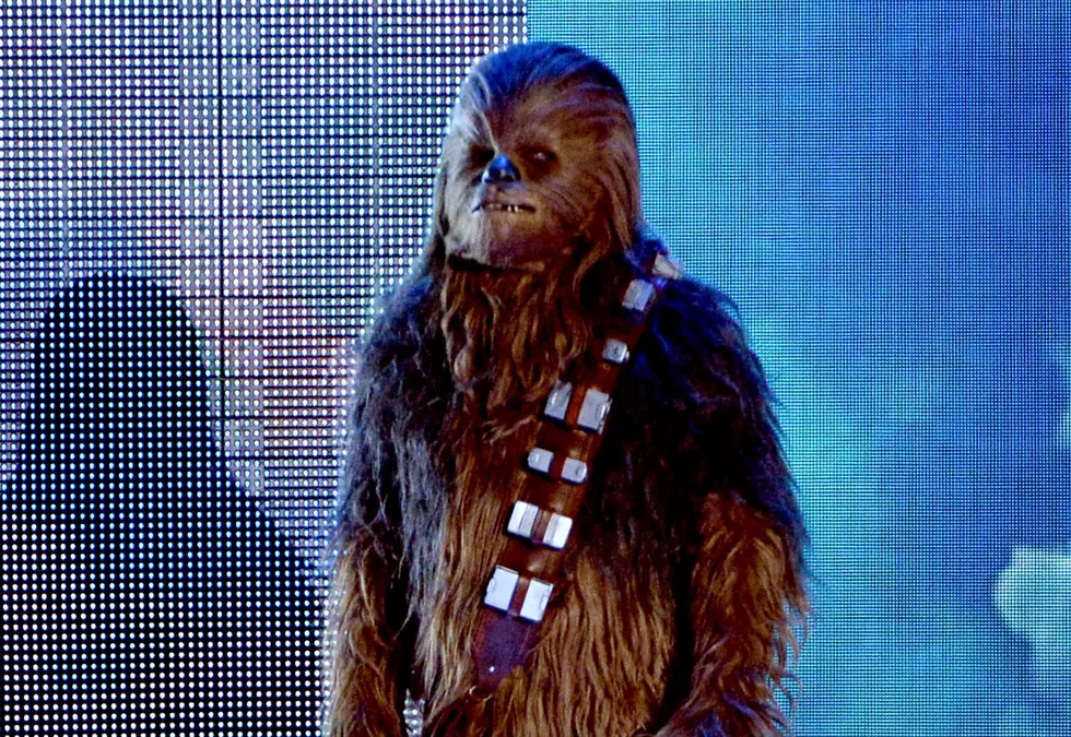 Poughkeepsie Mayor Invokes Chewbacca On ‘May The Fourth’