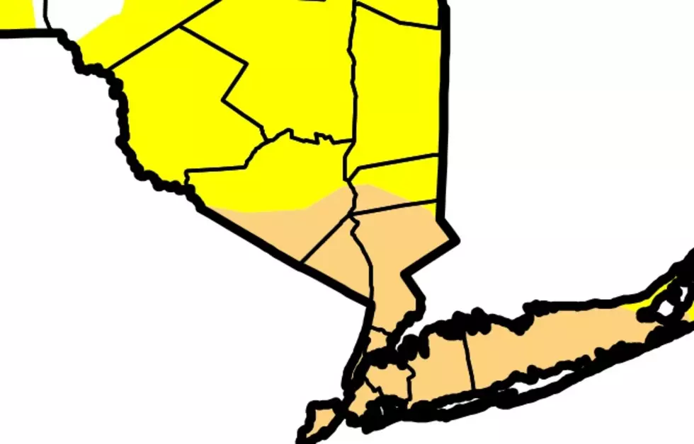 Drought Conditions Declared in Hudson Valley