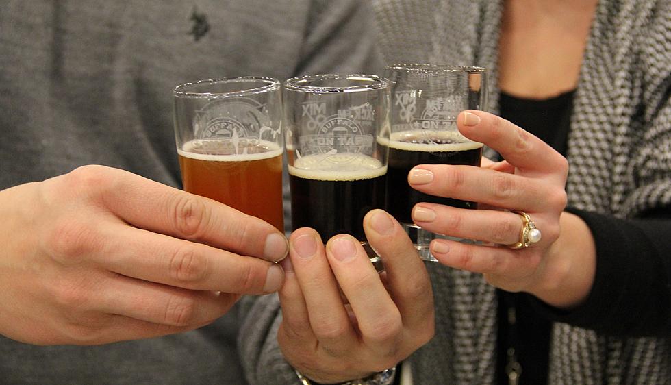 Hudson River Craft Beer Festival Headed to the Hudson Valley