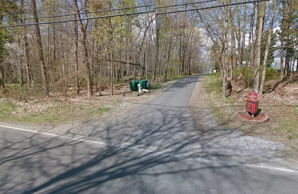 You’ll Never Guess What’s Hiding Down This Wappingers Driveway