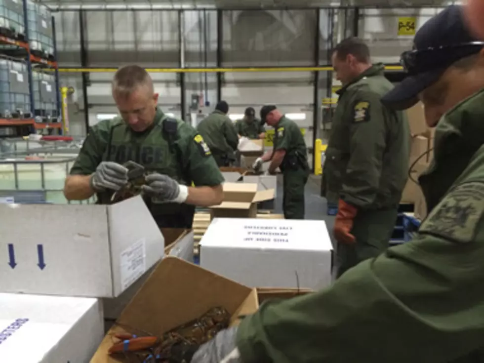 Illegal Lobsters Confiscated From Popular NY Super Market Chain