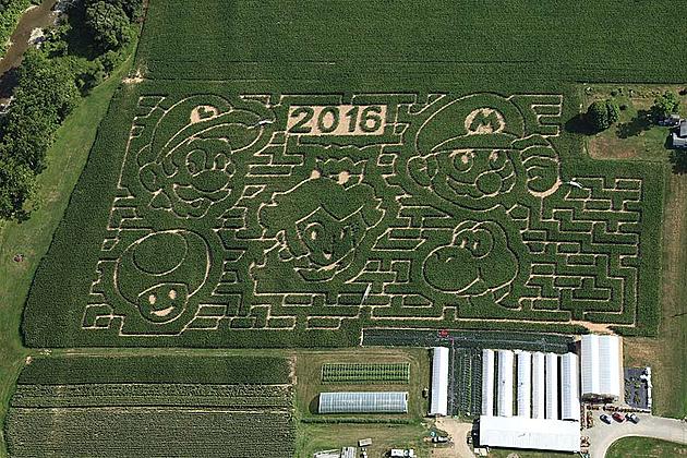 New York Farm Creates Super Mario Bros. Corn Maze