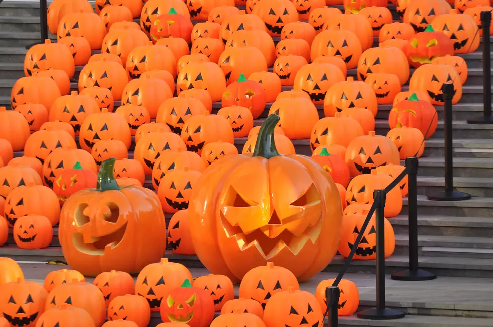 The 31st Annual Giant Pumpkin Party and Children’s Parade is Saturday