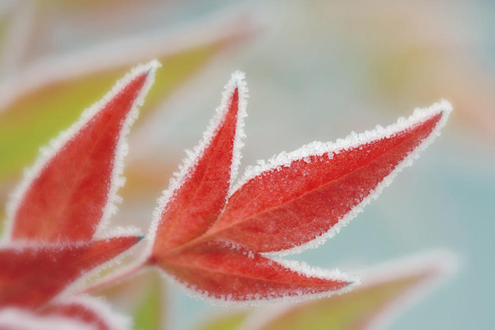 When Is the Hudson Valley’s First Frost of the Season?