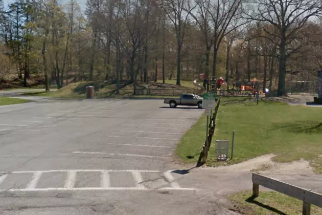 Hudson Valley Woman Attacked While Reading in Park