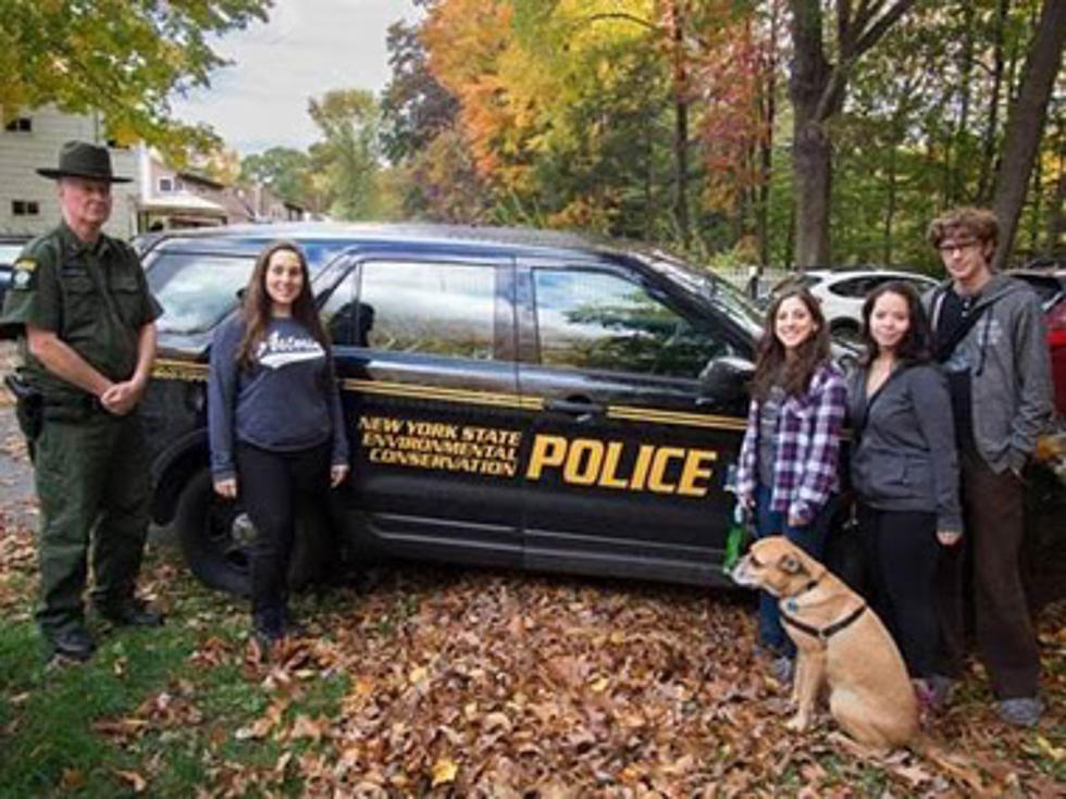 College Students Help Save Trapped Deer