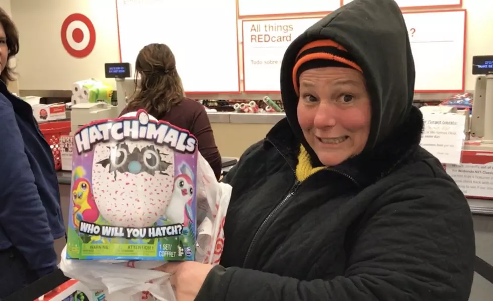 Hatchimals Finally Arrive in the Hudson Valley