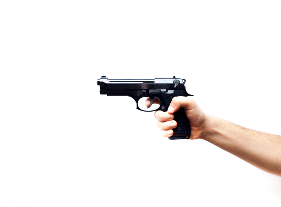 Police: Babysitter Brandished Gun in Front of Children