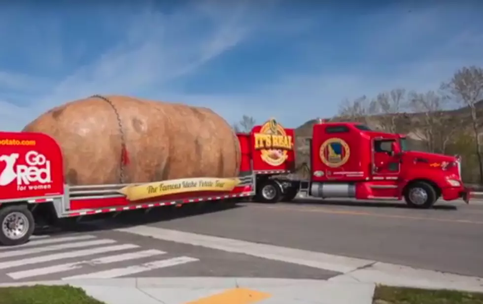 Giant Potato Headed to Hudson Valley
