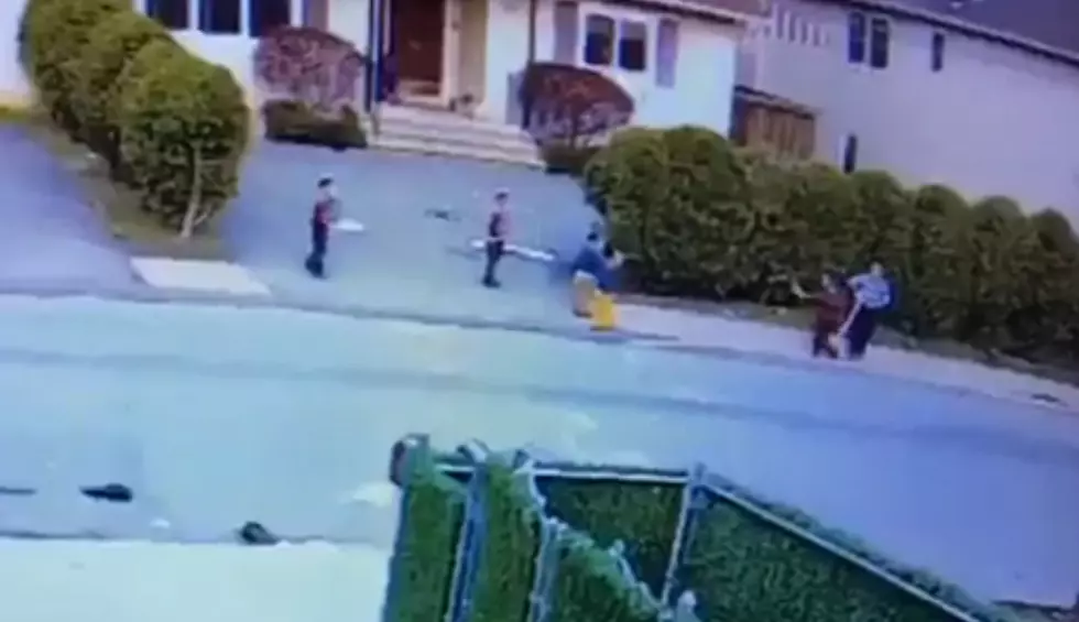 Graphic Video Shows Pit Bull Attack Hudson Valley Toddler