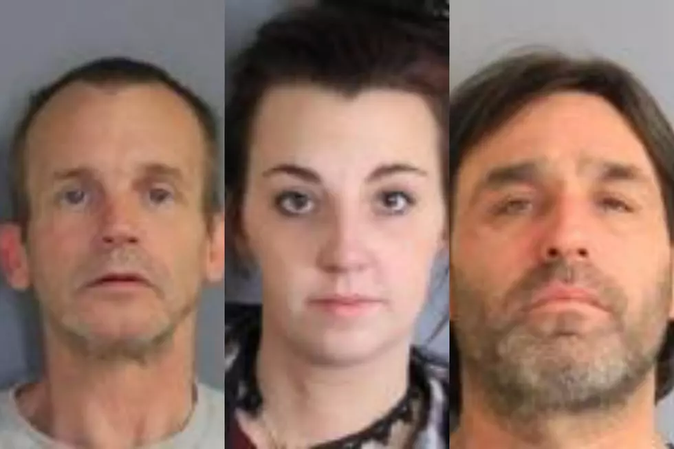 Dutchess County Trio Charged With Burglarizing Barn