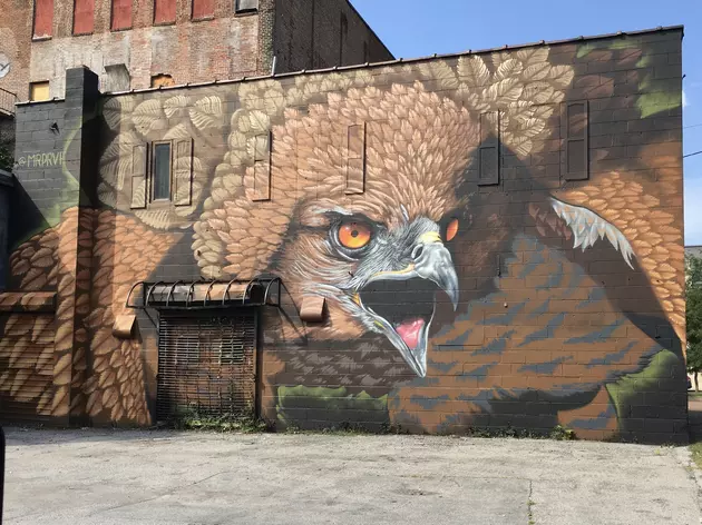 Breathtaking Eagle Mural Suddenly Appears on Local Building