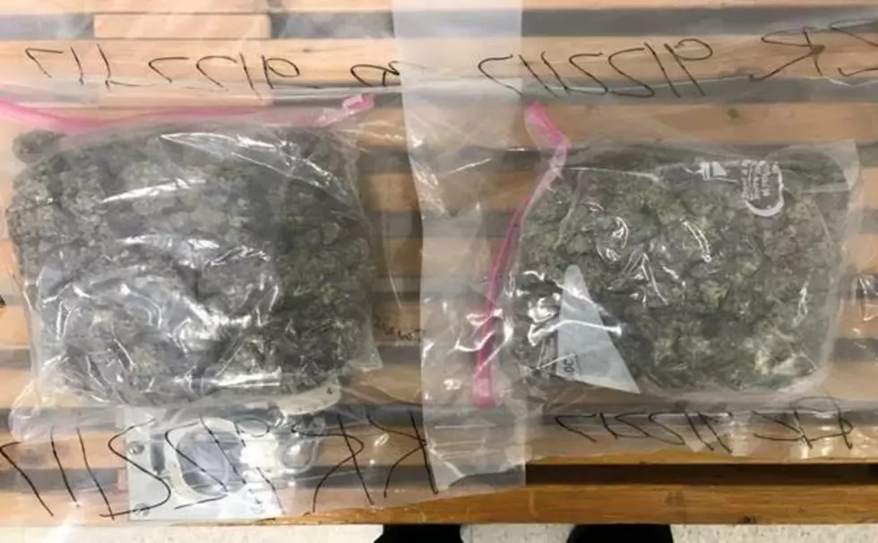 Over One Pound of Marijuana Discovered During Traffic Stop
