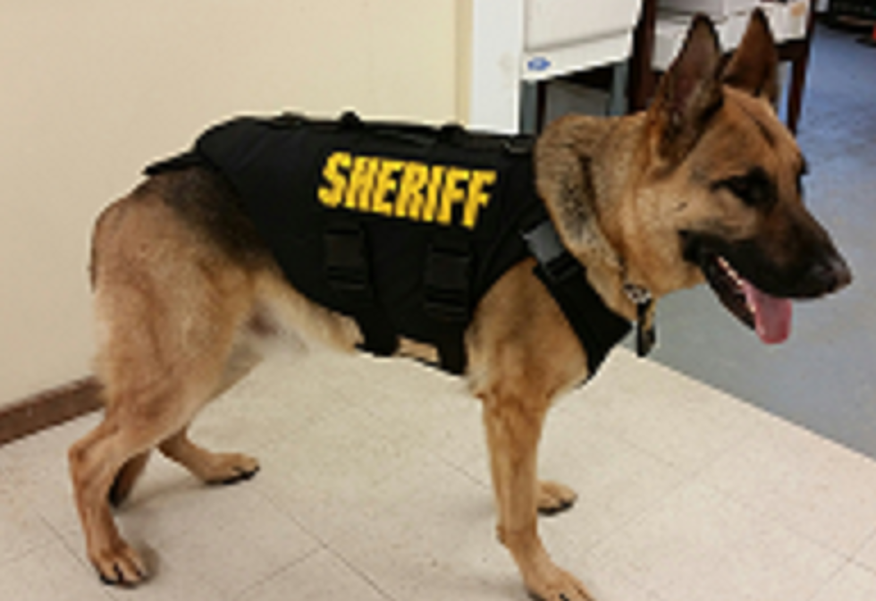Putnam County Sheriff&#8217;s K9 Gets Donated Bullet-Proof Vest