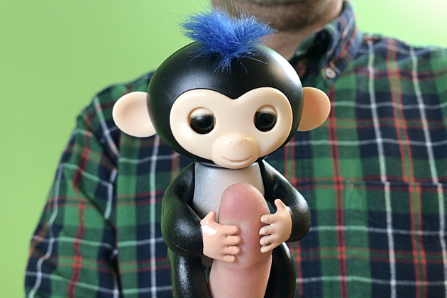 How to Get Your Hands on a Fingerling Monkey Before Christmas