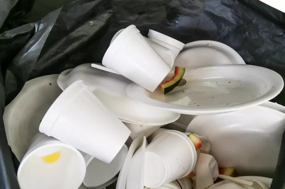 These Food Containers Are Now Banned in Part of the Hudson Valley