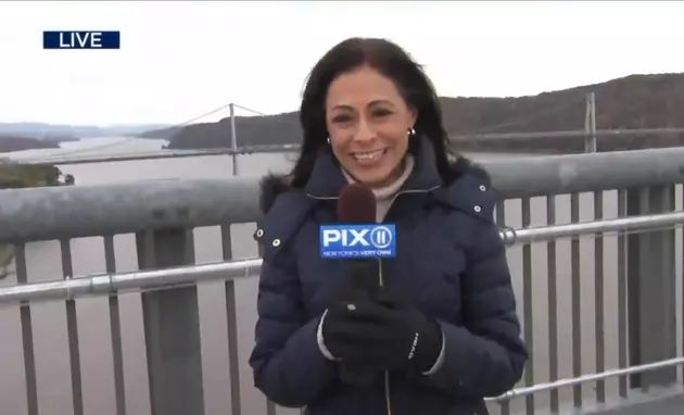 TV News Broadcasts Live from Walkway Over the Hudson