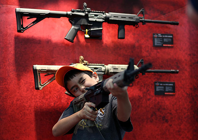 Hudson Valley Gun Retailer Stops Selling Assault-Style Rifles