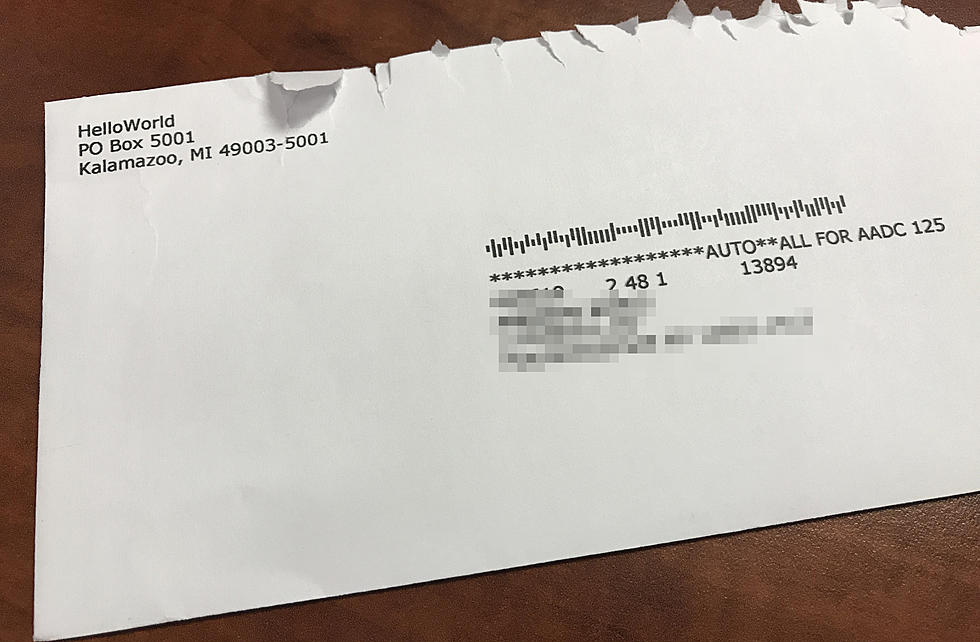Do Not Throw Away This Important Envelope Disguised as Junk Mail