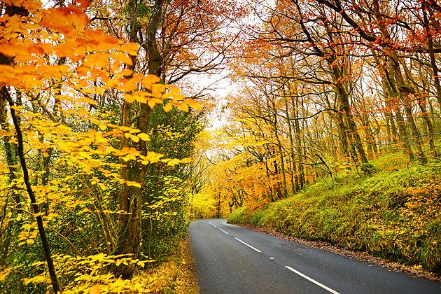 4 Hudson Valley Fall Drives to Take This Weekend