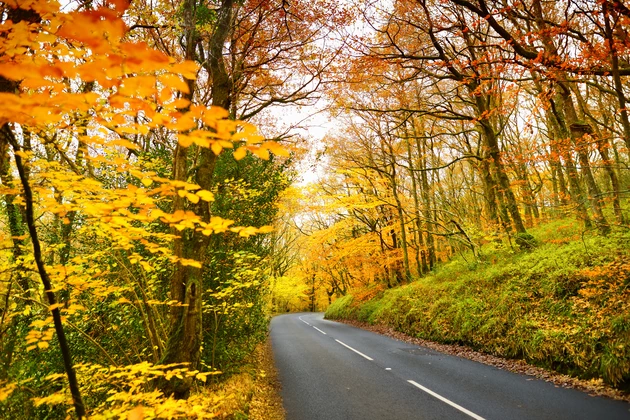 4 Hudson Valley Fall Drives to Take This Weekend