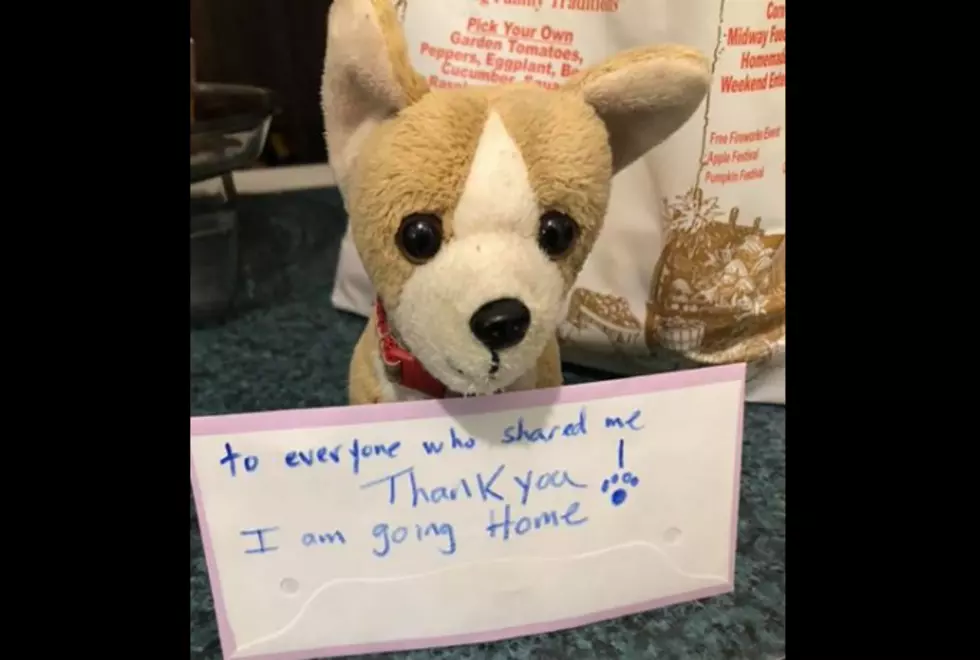Hudson Valley Finally Reunites Lost Stuffed Puppy With Owner