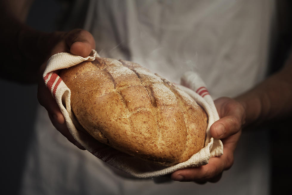 Bread Alone Planning $4.4 Million Expansion of Their Bread Empire