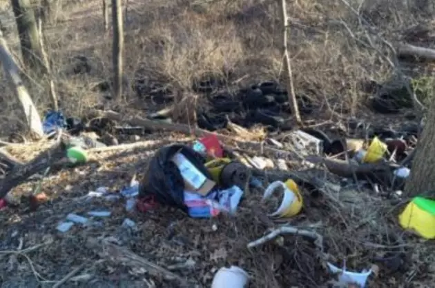 Illegal Dumper Caught After His Address Was Spotted on Trash