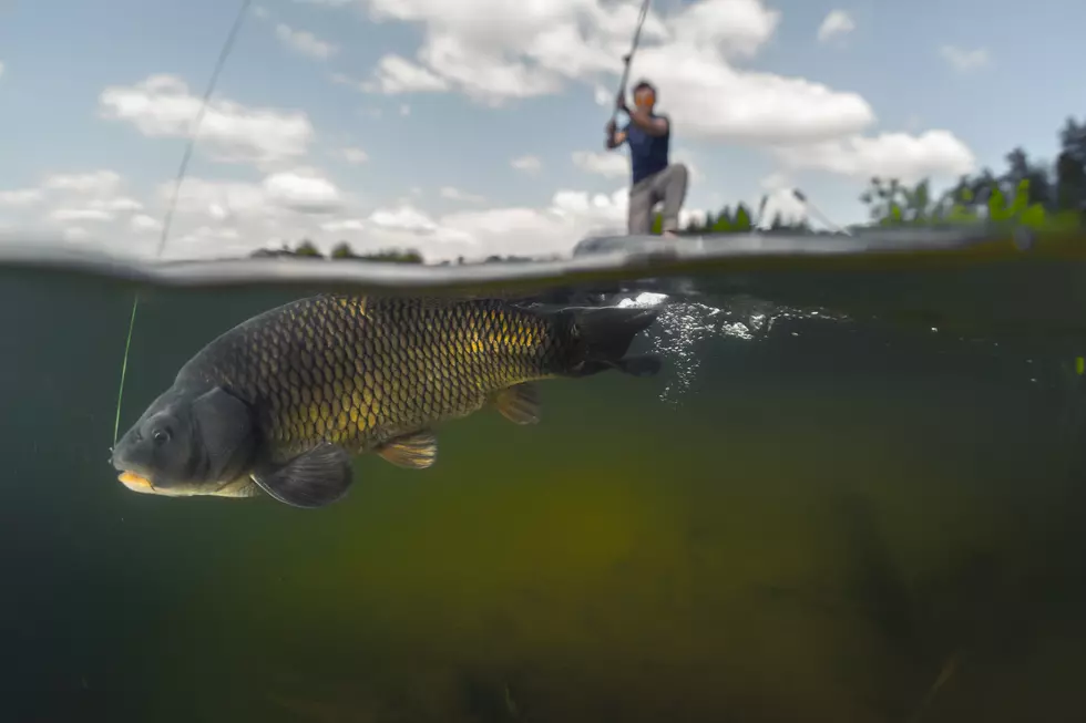 Man Charged For Illegal Fishing in the Hudson Valley