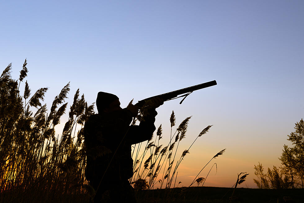 Hunting While Intoxicated Is a Thing And The Legal Limit Will Soon Drop in NY State