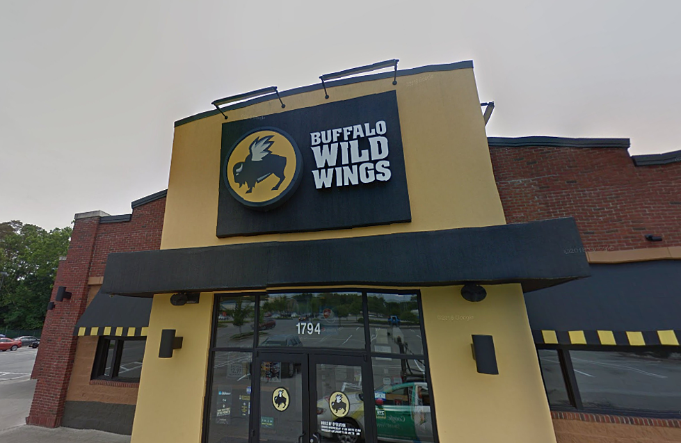 Wild Wings Opening Fourth Hudson