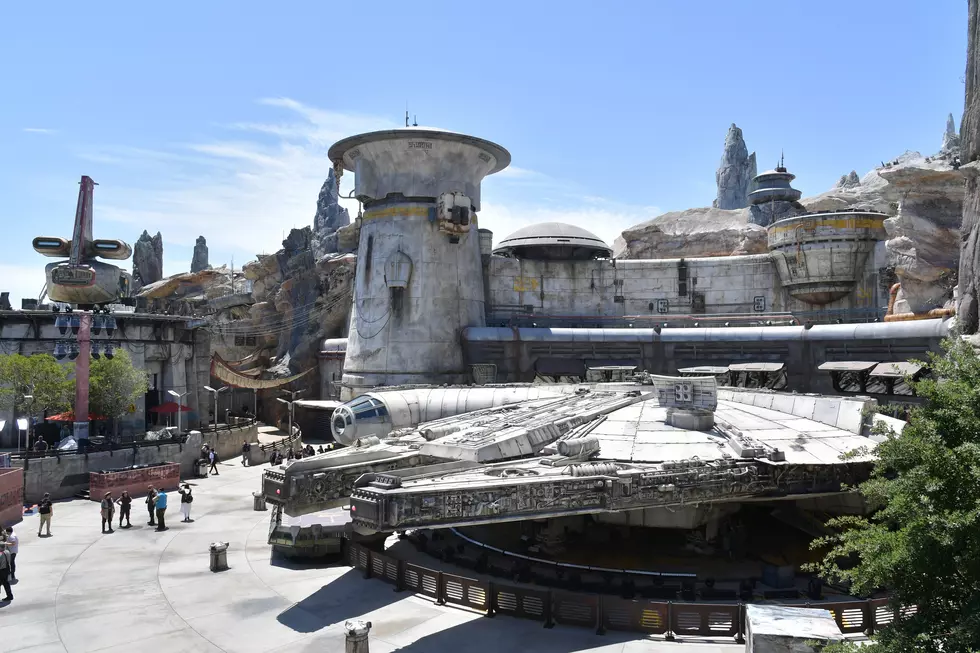 Disney’s New ‘Star Wars Land’ Menu Item Made in the Hudson Valley