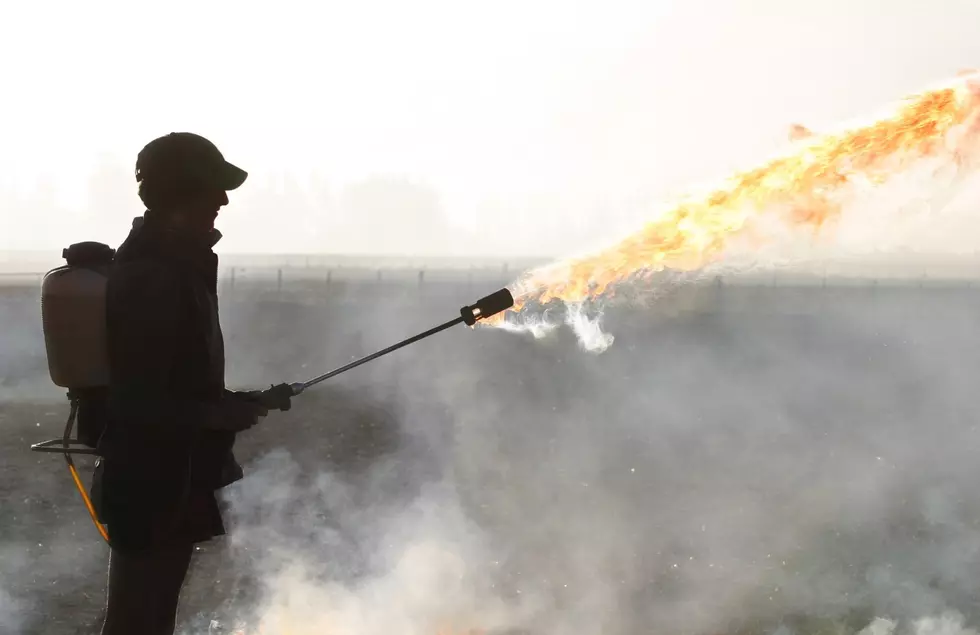 Next Thing For New York to Ban: Flamethrowers. Wait, They Were Legal?