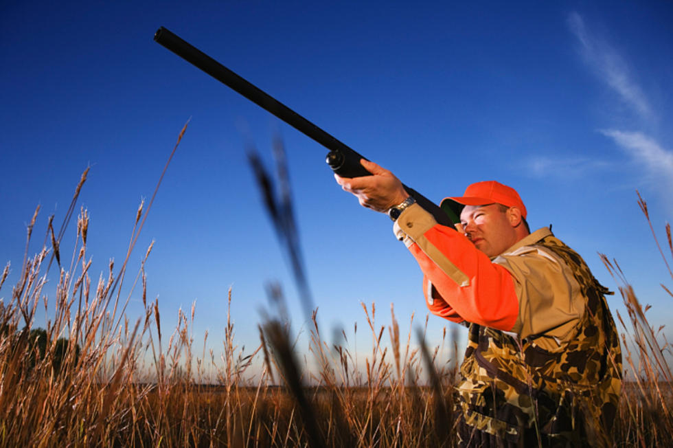 Many New Rules For New York  Hunters In The Works