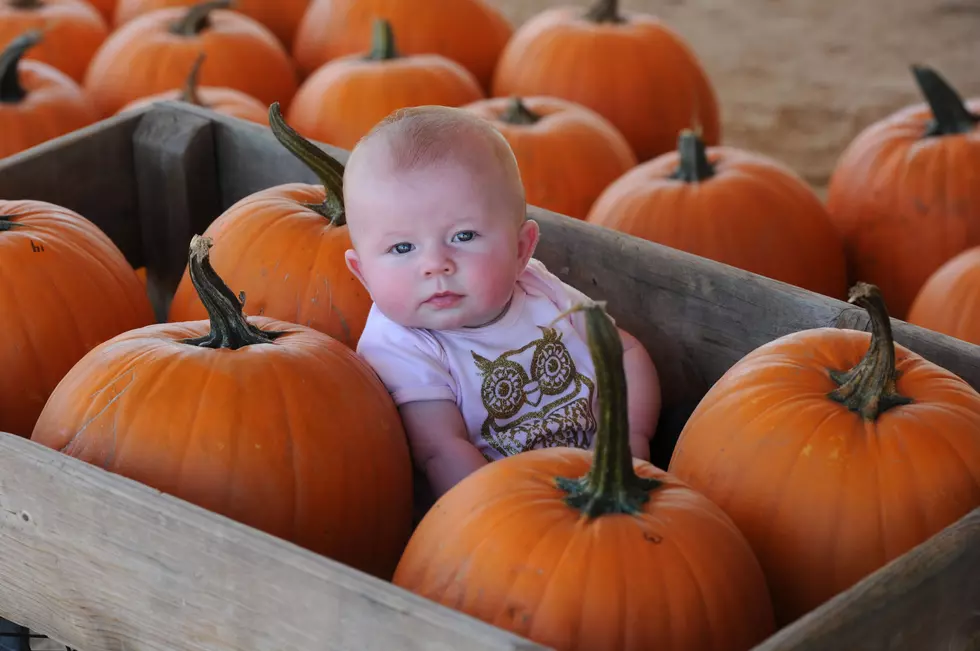 LaGrange Fall Harvest Festival Oct. 6