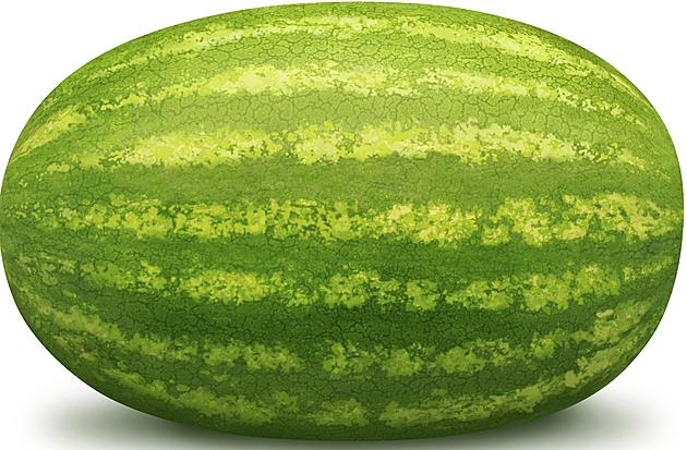Monster Watermelon Growing in Orange County