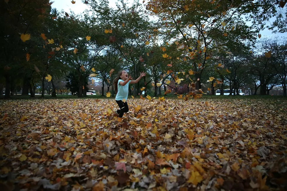 The Forsyth Nature Center Fall Festival Is Sunday