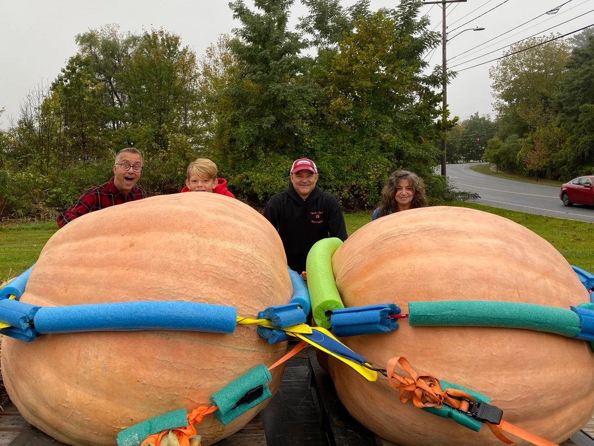 Hudson Valley Man Grows Giant Pumpkins In Backyard